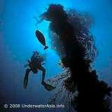 Wreck with Diver